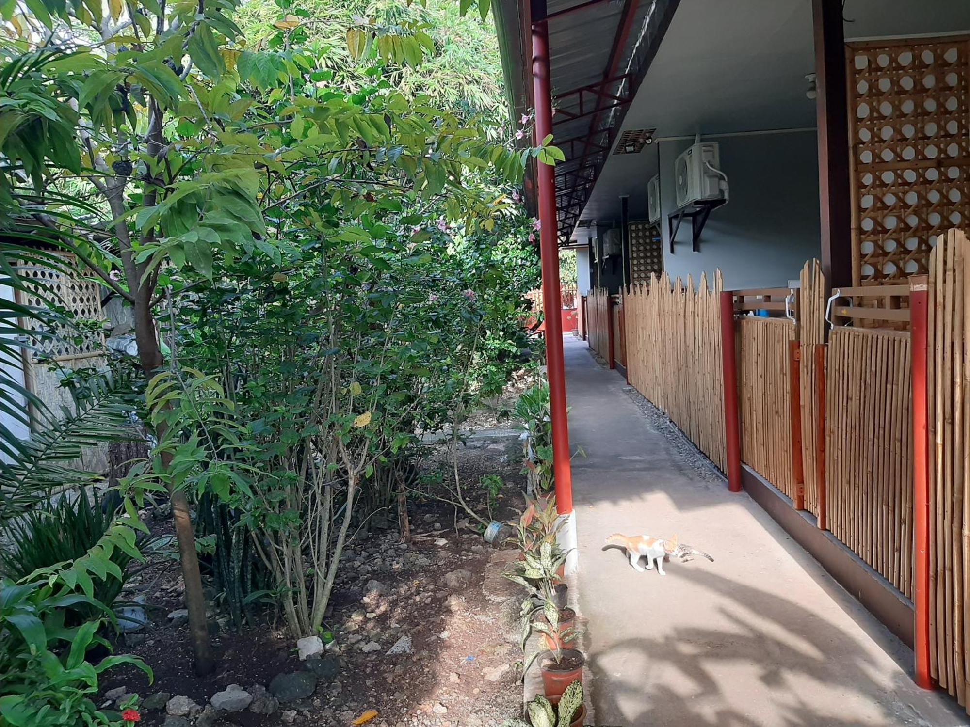Alimpay Foresters Apartment Panglao Exterior foto